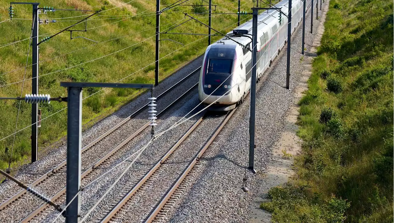 Train : les voyageurs pensent-ils que c'est le transport le plus écologique ?