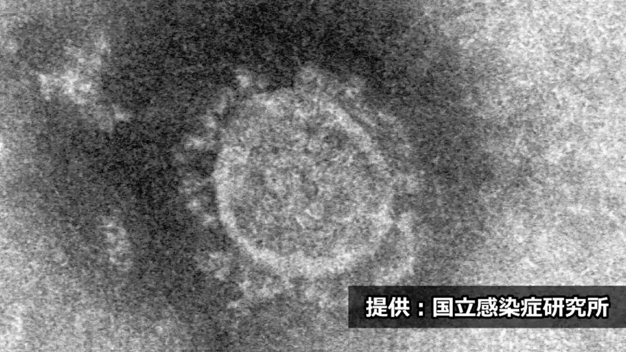 【８日現在】岐阜県内新型コロナ感染状況 新規患者数、１医療機関当たり３・６人 「じわじわ感染拡大」 | 岐阜新聞Web