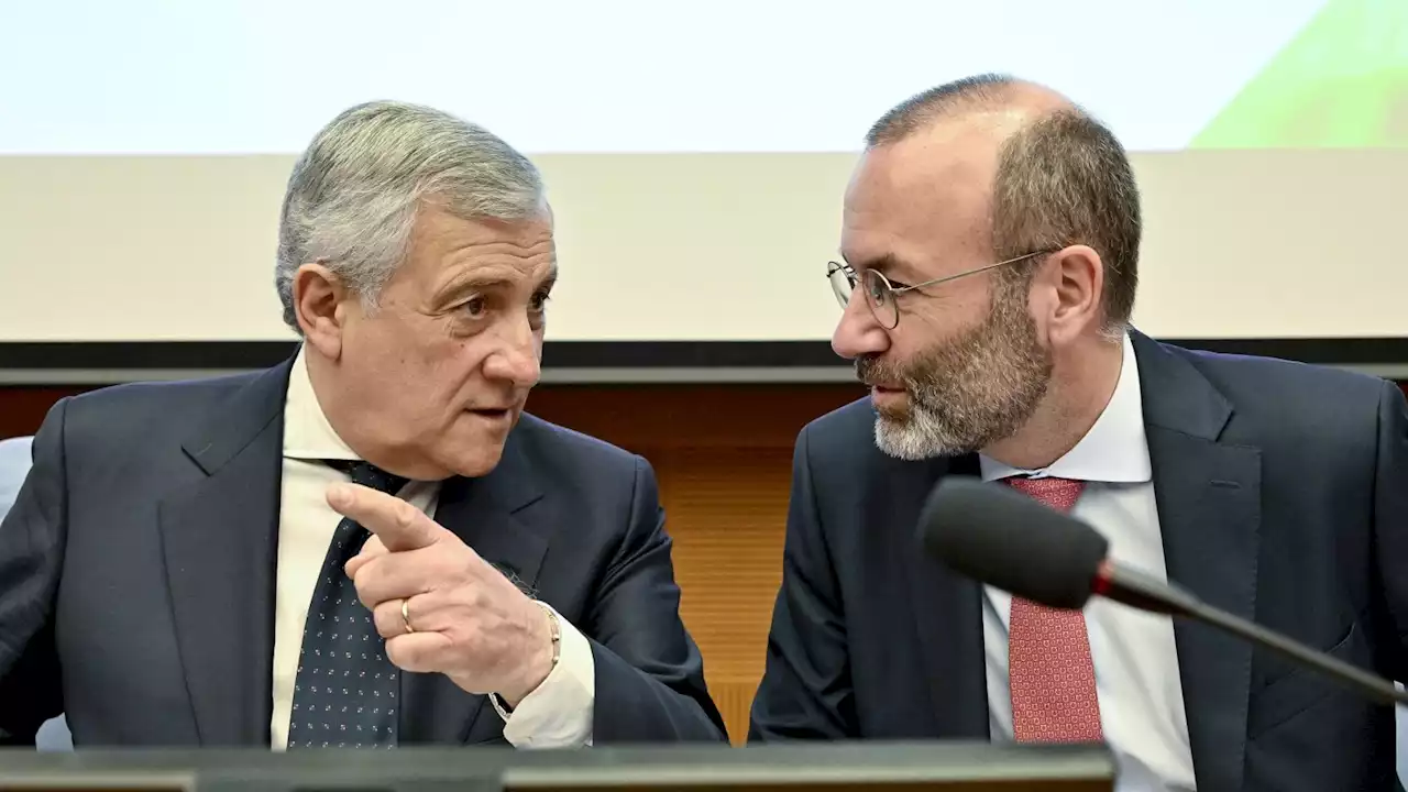 Il damo di compagnia. Tajani vede Weber e sogna la presidenza della commissione Ue (di A. Gentili)