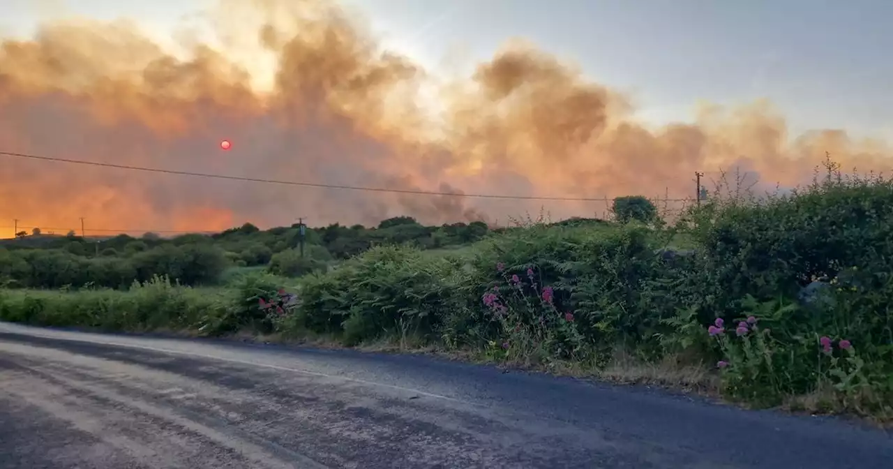 Fire Brigade battle large gorse fires just outside of Galway city