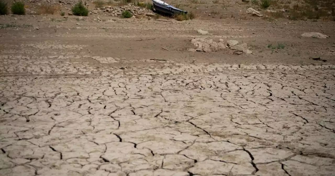 Global emissions at ‘all-time high’ causing unprecedented rate of global warming, scientists warn