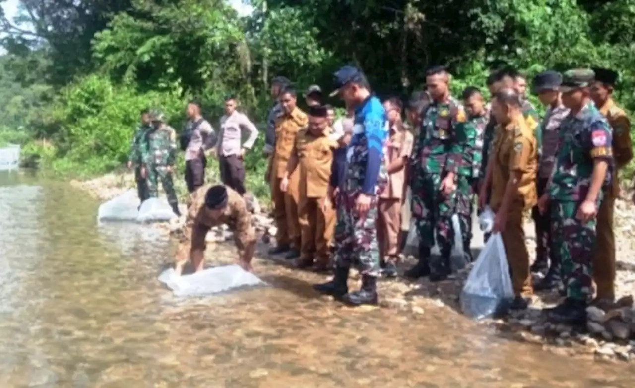 6.000 Benih Ikan Ditebar di Batang Sumpur Lubuksikaping