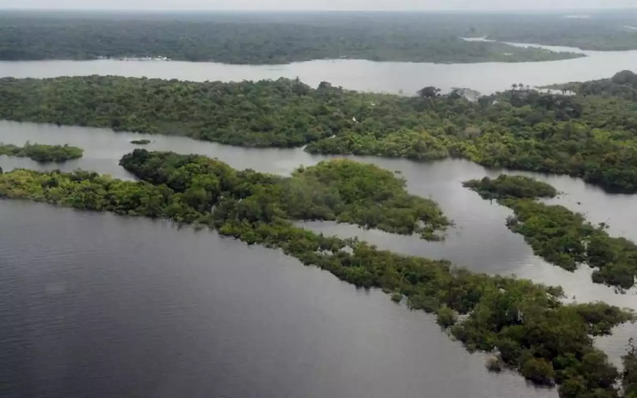 Desmatamento na Amazônia cai 31% de janeiro a maio | Brasil | O Dia