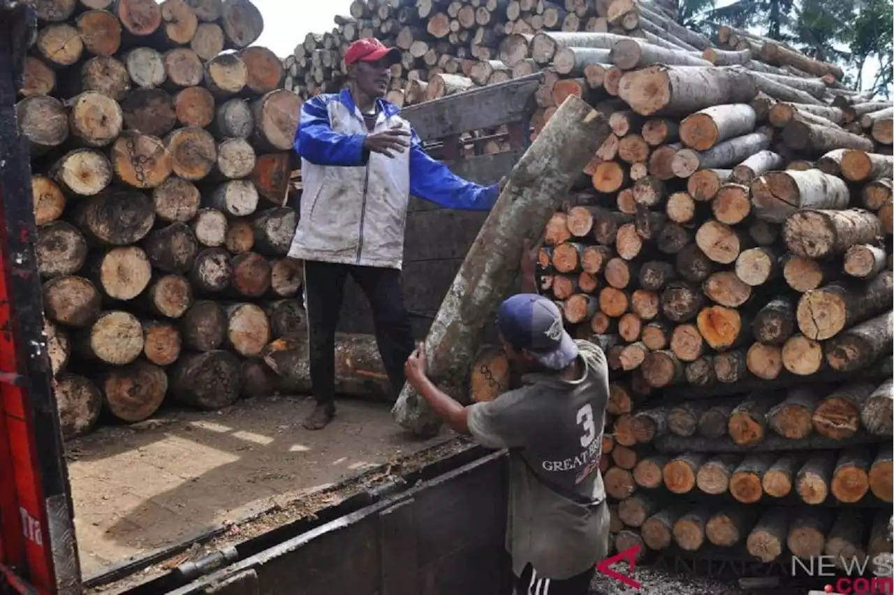 Jam Kerja Karyawan Pabrik Kayu Lapis di Temanggung Dikurangi, Kenapa?