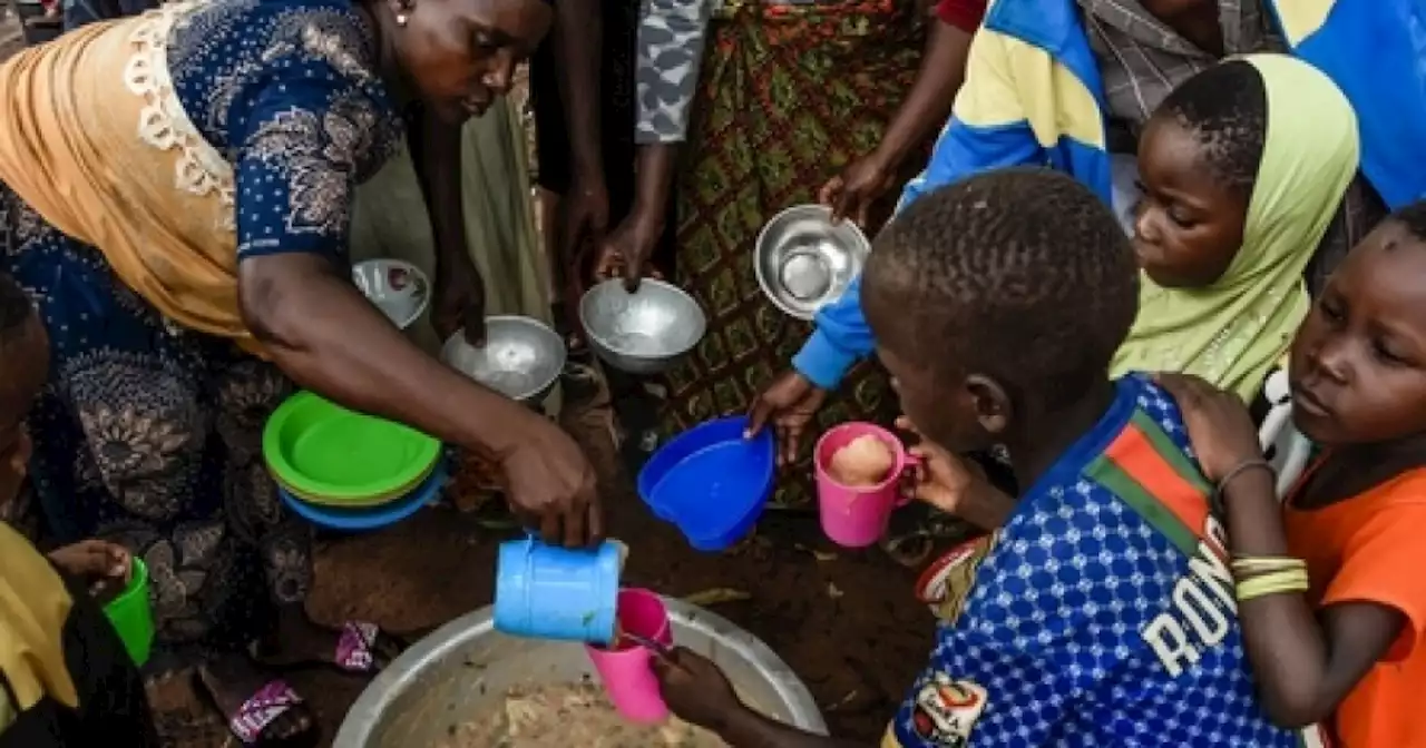 UN report finds more than 250M people faced food insecurity in 2022