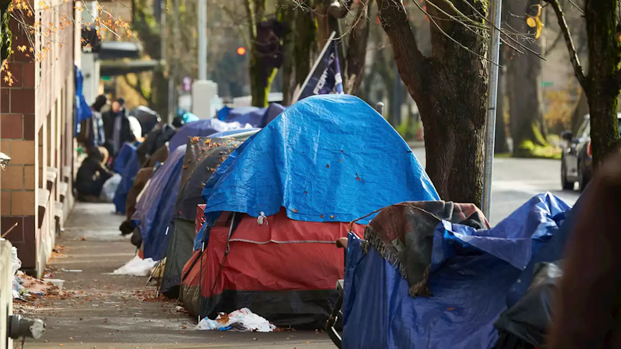 Portland City Council approves Mayor Wheeler's daytime camping ban on city property