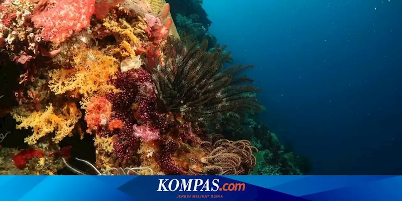 3 Oleh-oleh Khas Desa Wisata Welora Maluku, Ada Topi dan Kerajinan