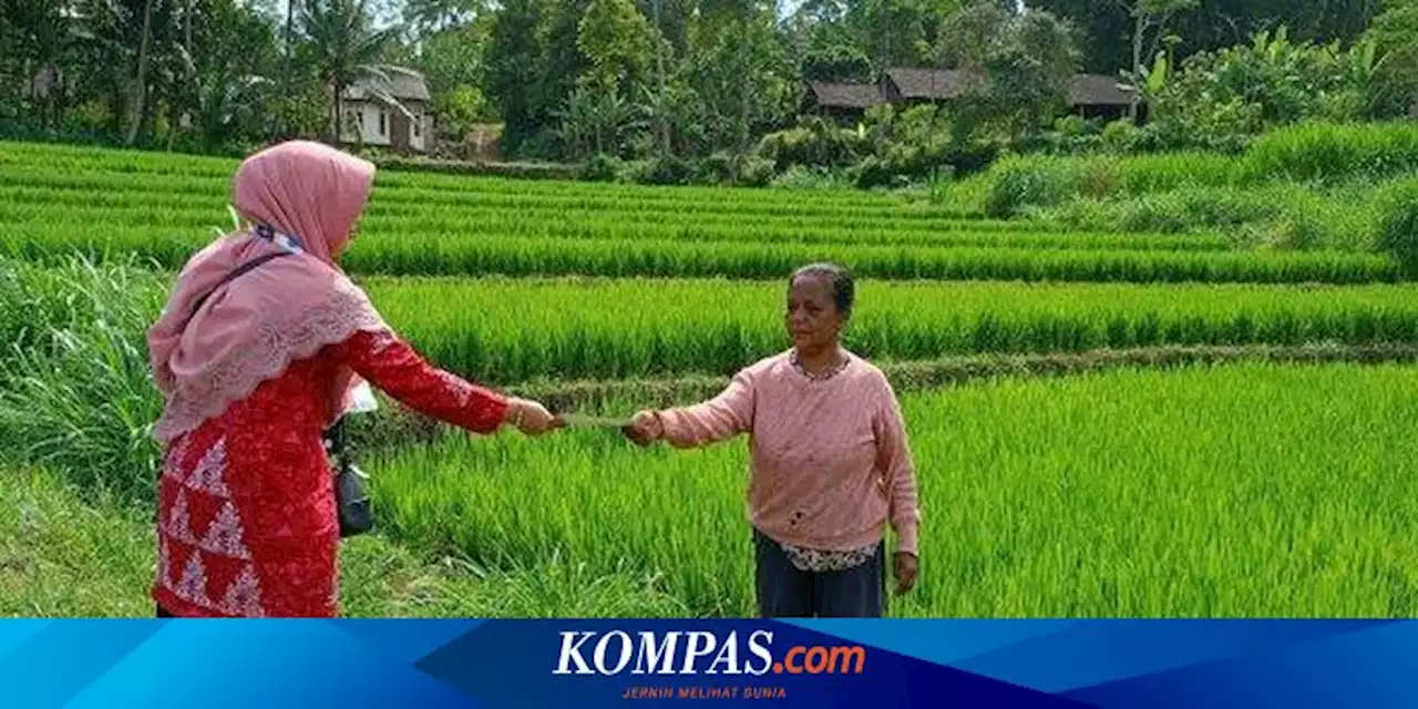 Kekurangan Murid, Guru di SDN 3 Sugihan Kabupaten Semarang Blusukan Cari Calon Siswa