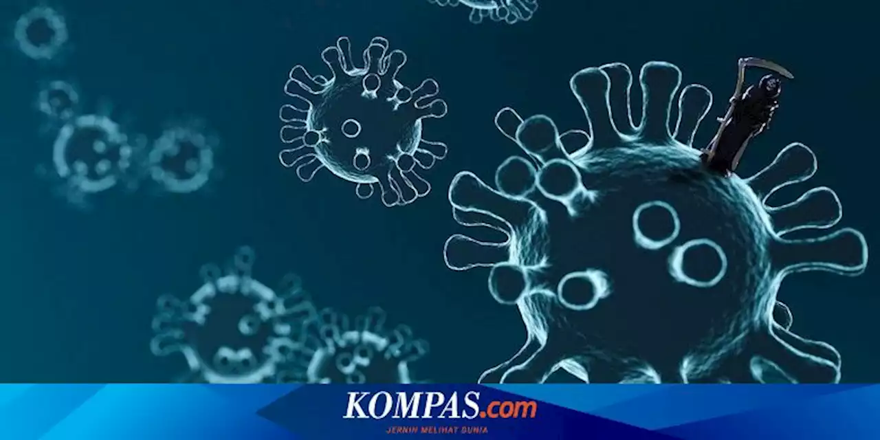 Update 8 Juni: Kasus Covid-19 Bertambah 254 dalam Sehari, Totalnya Jadi 6.809.631