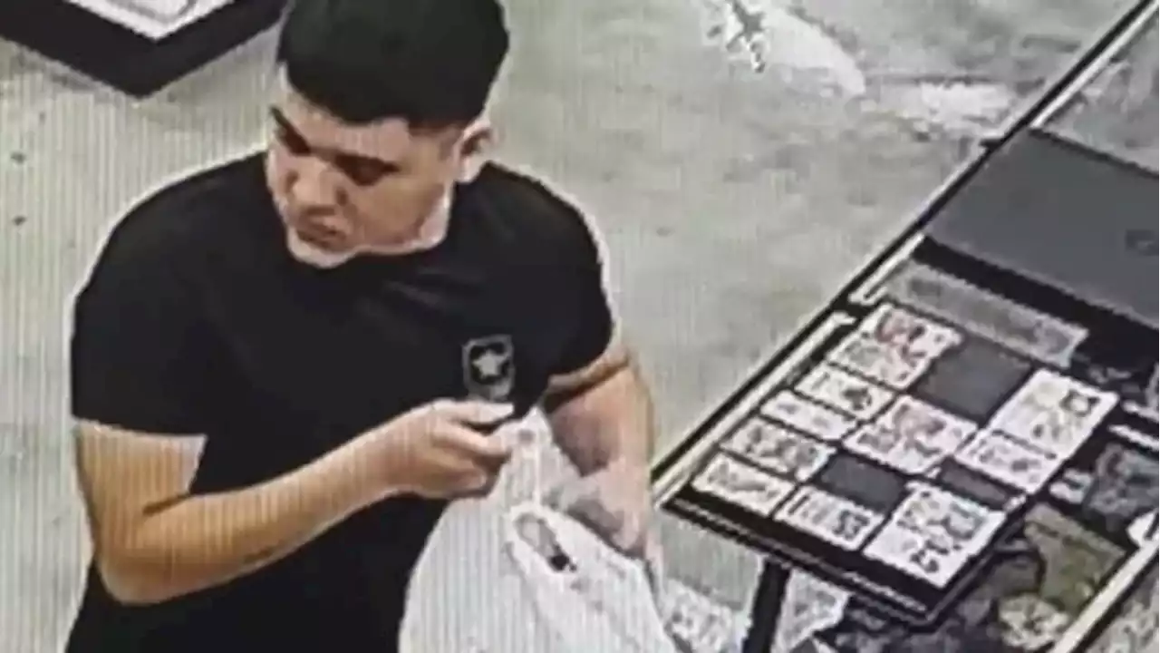 Trading card store in Castle Hills hit by theft within days of opening