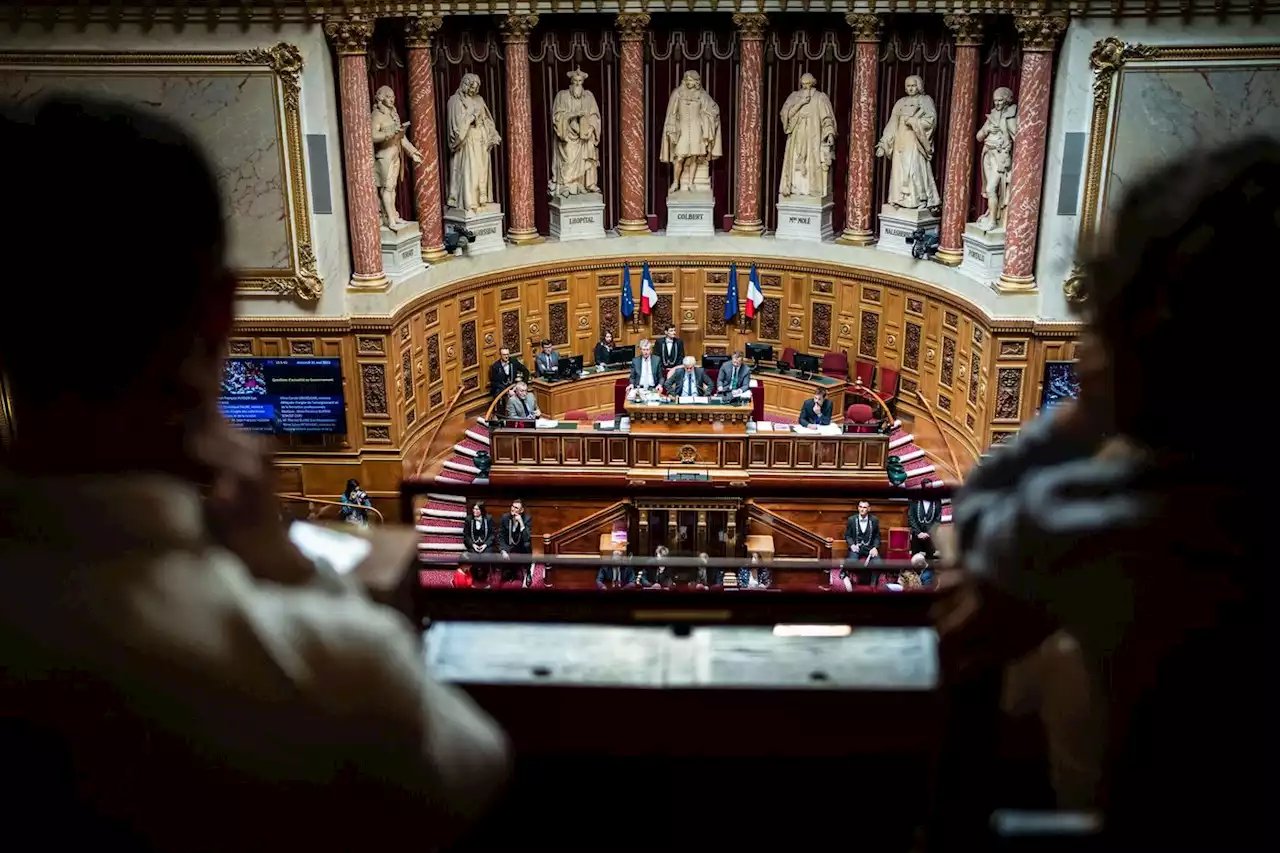 Fin de vie : le Sénat entend donner de la voix