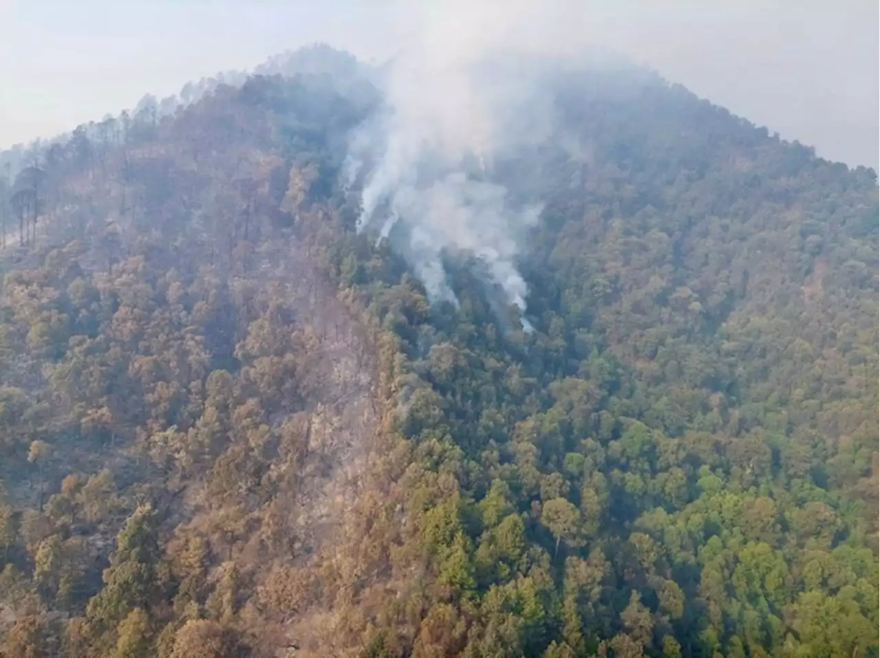 Sofocado, 60% de incendio forestal en Tangancícuaro