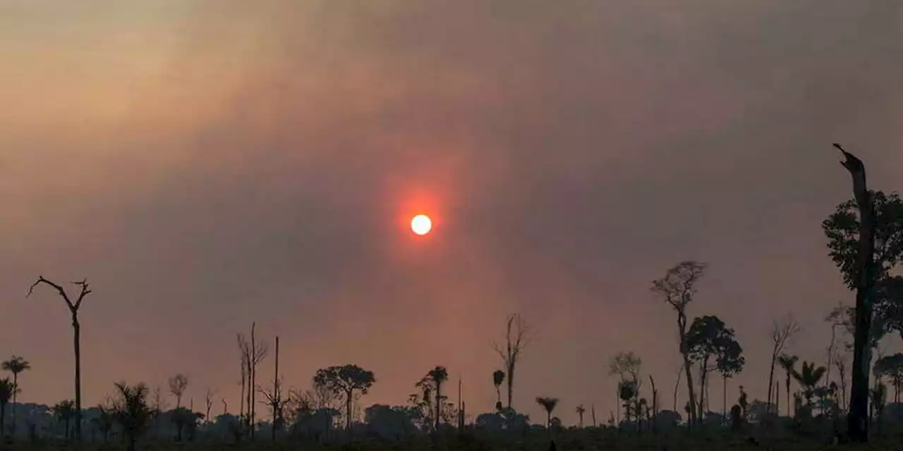 Climat : le « budget carbone » de l'humanité se réduit