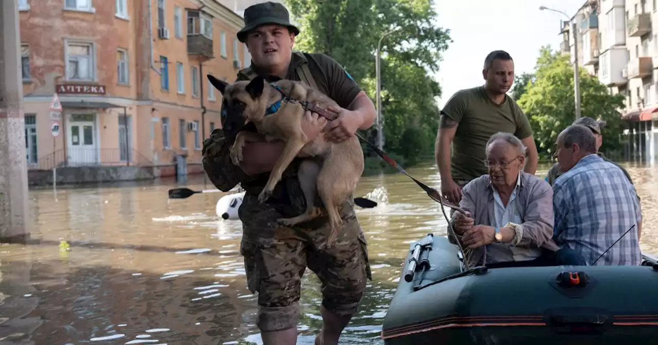 'Plus de maison' : les Ukrainiens fuient les inondations après la destruction d'un barrage