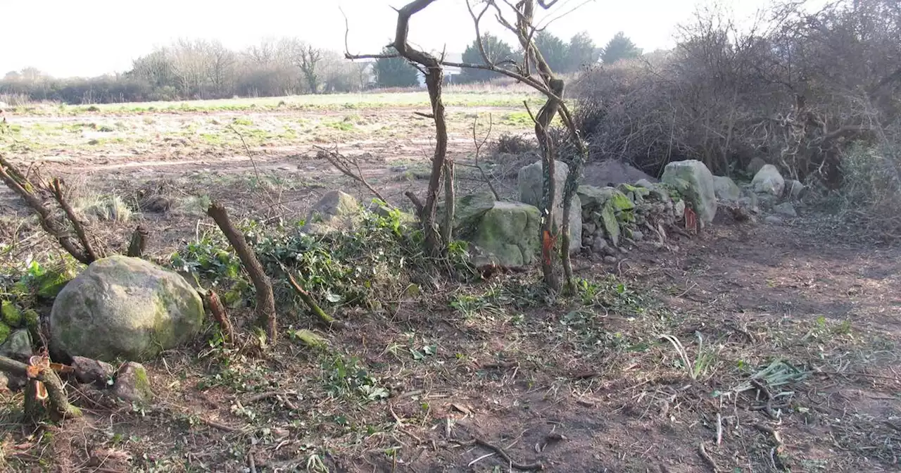 39 menhirs détruits à Carnac : leur «valeur archéologique n’est pas établie» répond l’Etat