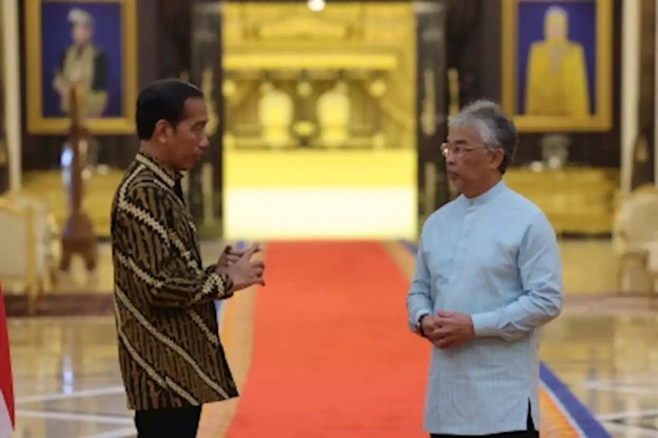 Agong grants audience to Indonesian president