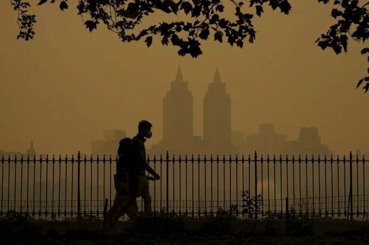 Incendies, sécheresse… L'Amérique du Nord est-elle condamnée à succomber à la crise climatique ?