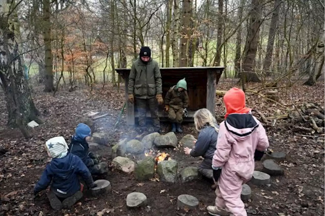 Minim Hujan, Denmark Khawatir Kasus Kebakaran Hutan Meningkat