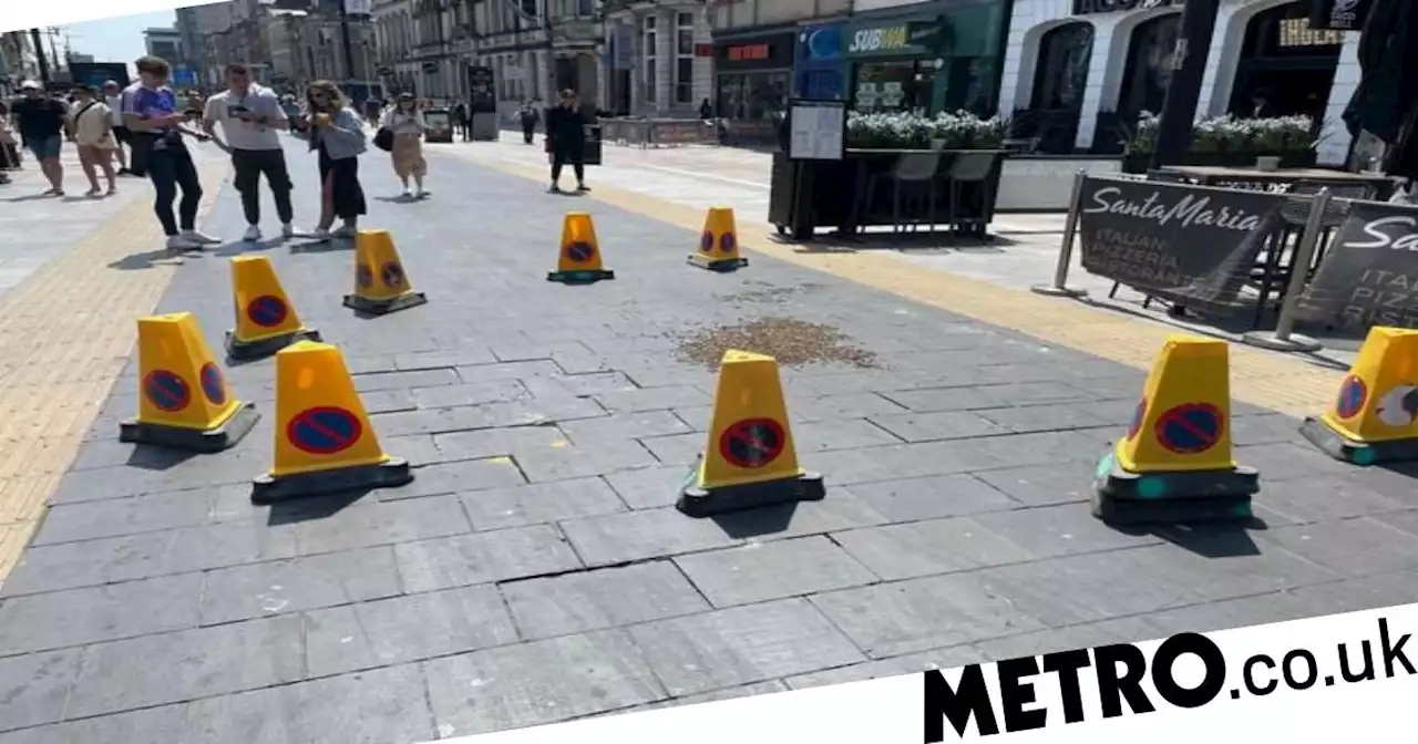 ‘Lost’ swarm of bees set up shop in middle of high street