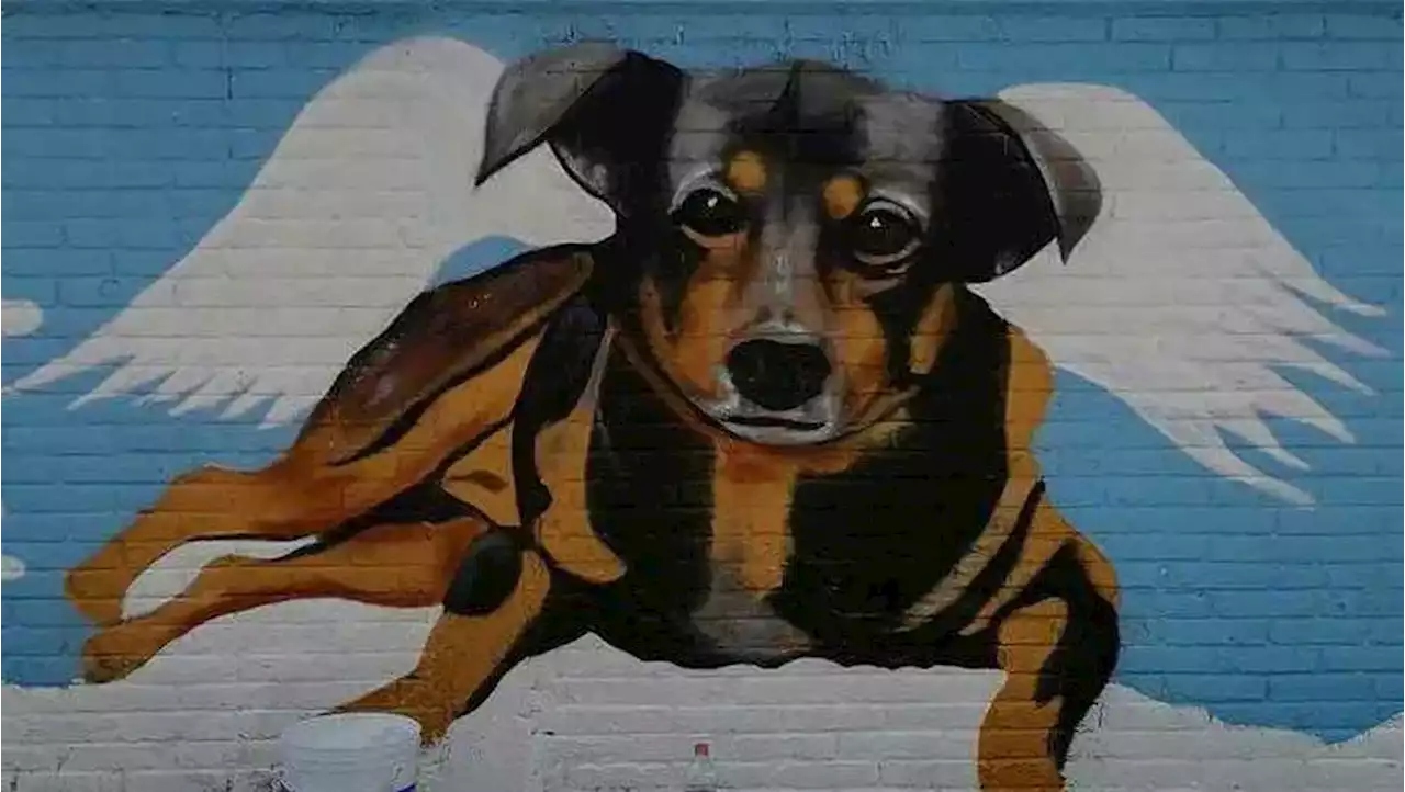 Crean mural en honor a Scooby, perrito asesinado en Tecámac