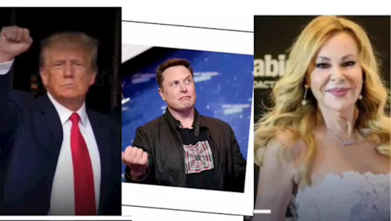 Ana Obregón, Donald Trump y Elon Musk se cuelan en la última campaña de Hufftisnspot