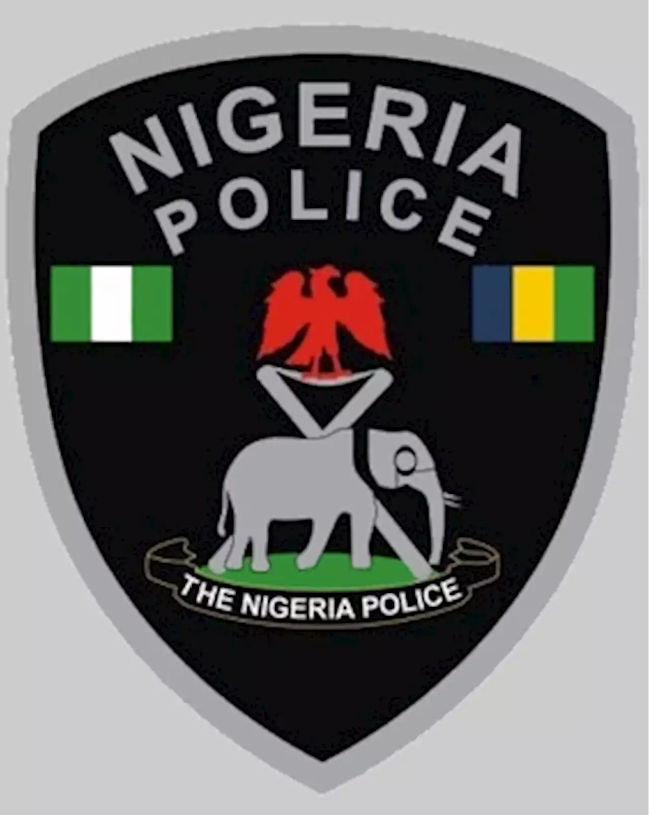 Kano police ban unauthorised use of sirens, unregistered vehicles - Punch Newspapers