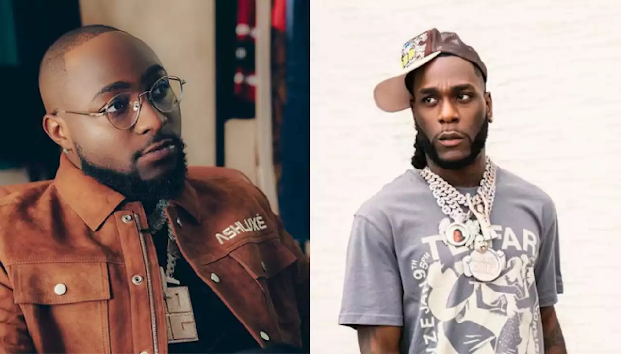 Knocks trail Davido’s ‘new cats’ comments, netizens say remark disrespectful - Punch Newspapers