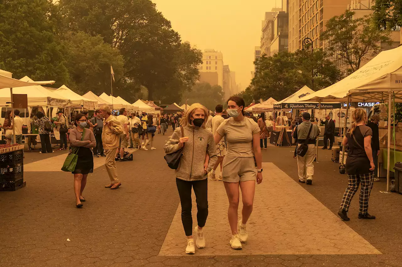 NYC air quality levels close schools, zoos, Broadway shows; Brace for big airport delays