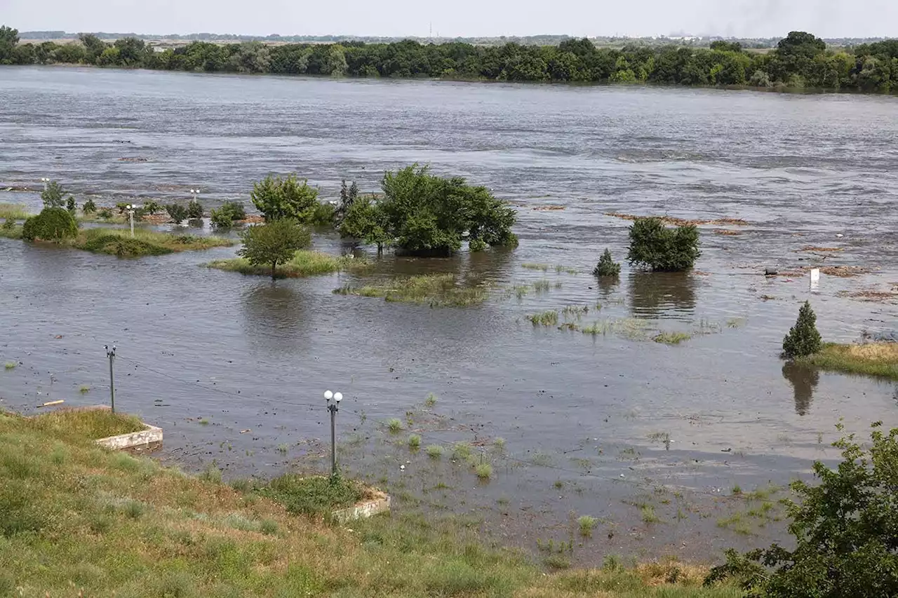 Ukraine Kakhovka dam explosion: Flooding is devastating wildlife