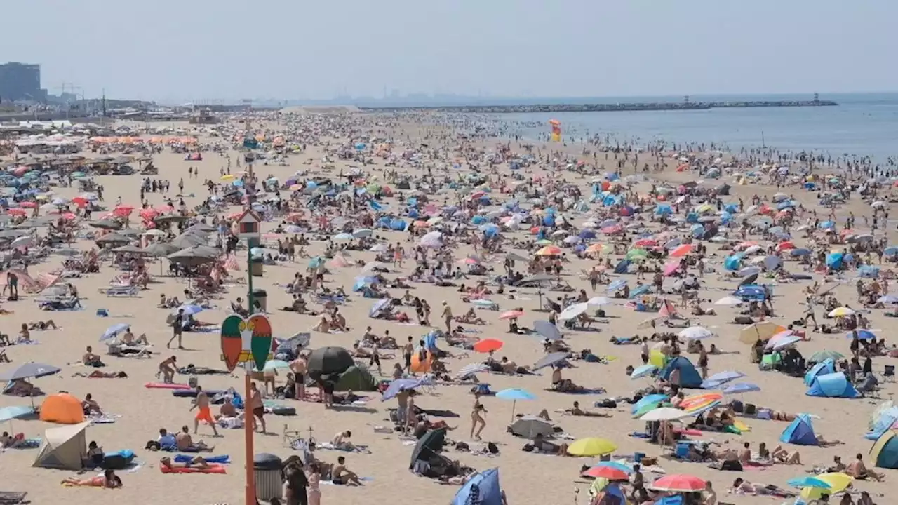 Dit weekend zomerse temperaturen: meer openbaar vervoer naar stranden