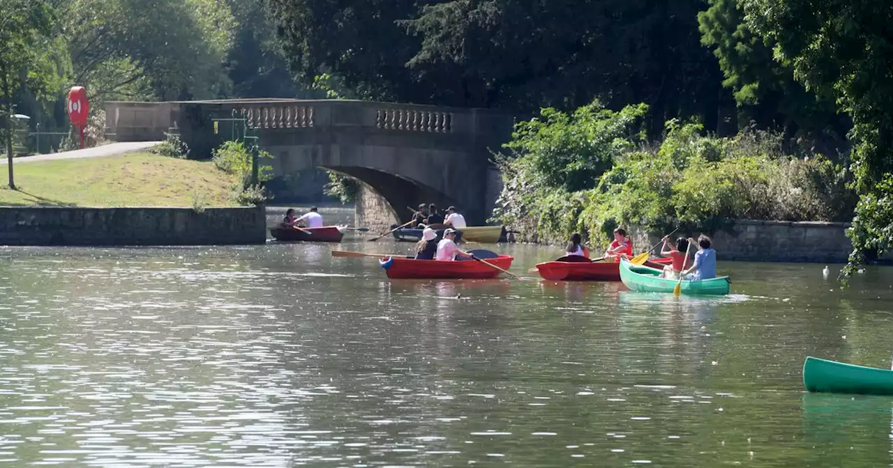 'Pollen bomb' heatwave warning with the Midlands worst affected