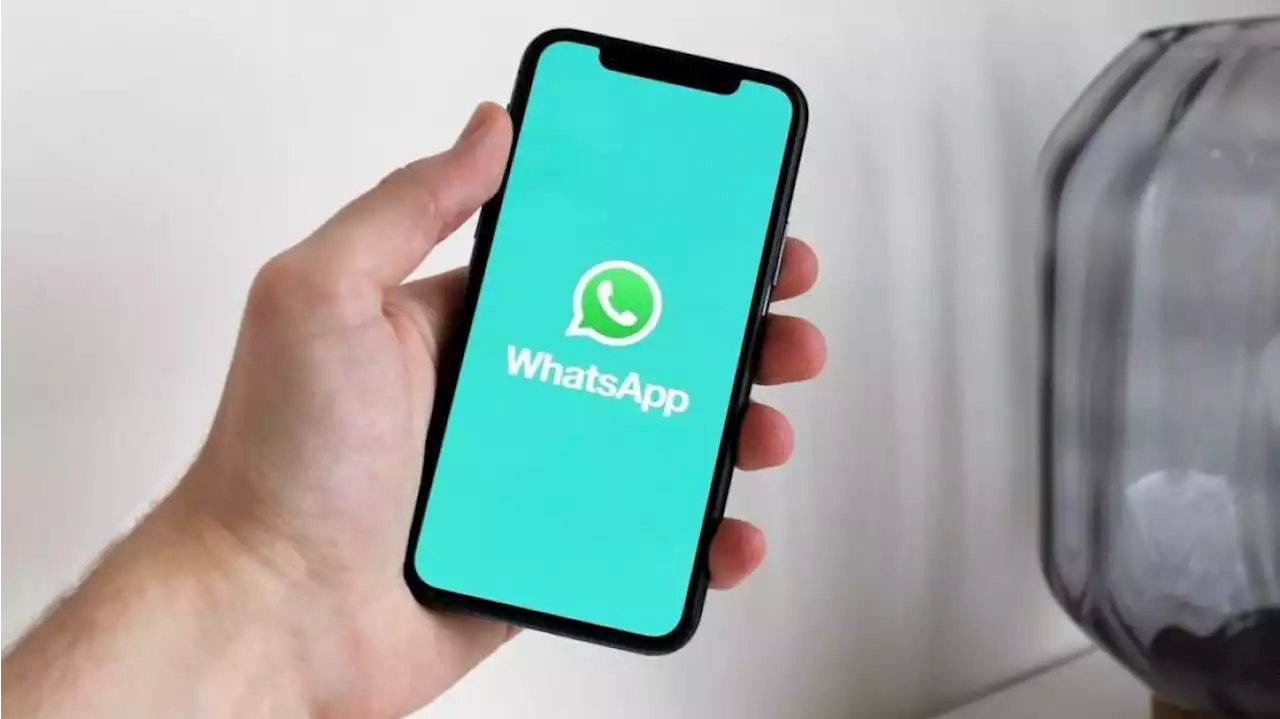 WhatsApp permitirá enviar fotos en calidad HD: cómo es la nueva función