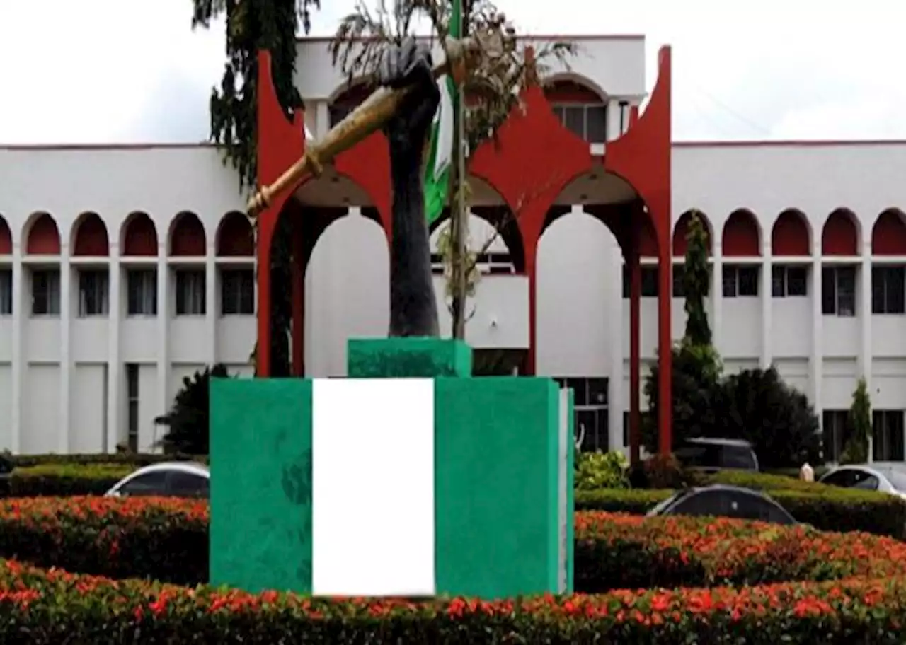 Panic in Anambra Assembly as armed men try to whisk away member-elect