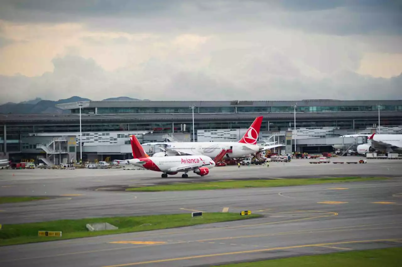 Avianca, Wingo y más aerolíneas, con gangazos para vuelos nacionales e internacionales - Pulzo