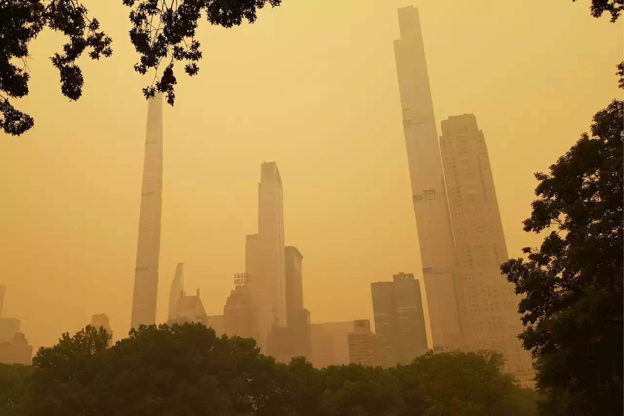 Nueva York quedó bajo espesa nube color naranja e imágenes fueron apocalípticas; qué pasó - Pulzo