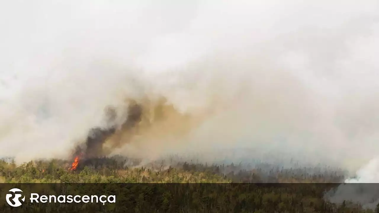 Portugal vai enviar ajuda para combate a incêndios no Canadá - Renascença