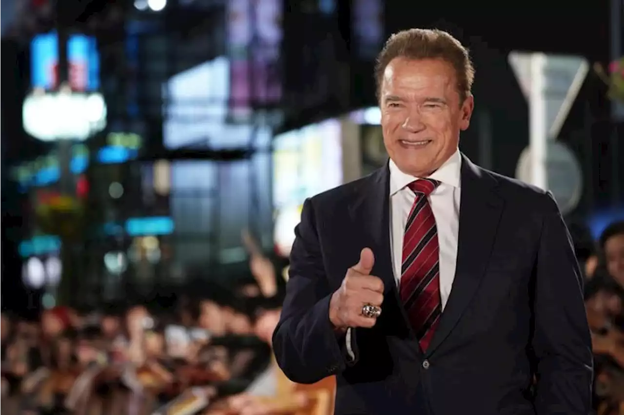 Arnold Schwarzenegger Selalu Coba Cari Cara Kalahkan Sylvester Stallone di Genre Laga |Republika Online