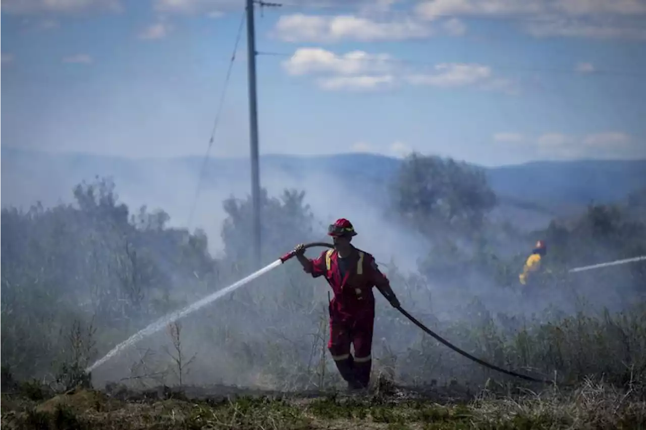 Kebakaran Hutan di Kanada Ancam Infrastruktur Penting |Republika Online