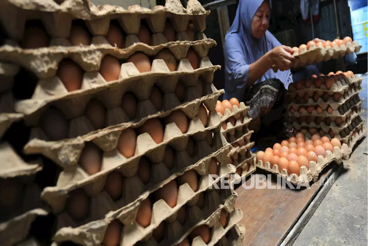 Pedagang Telur Ayam di Medan Menjerit Akibat Tingginya Harga |Republika Online