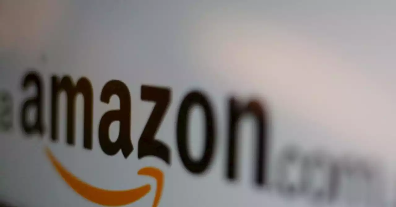 Amazon should not pay $268 mln in Luxembourg back taxes, EU court adviser says