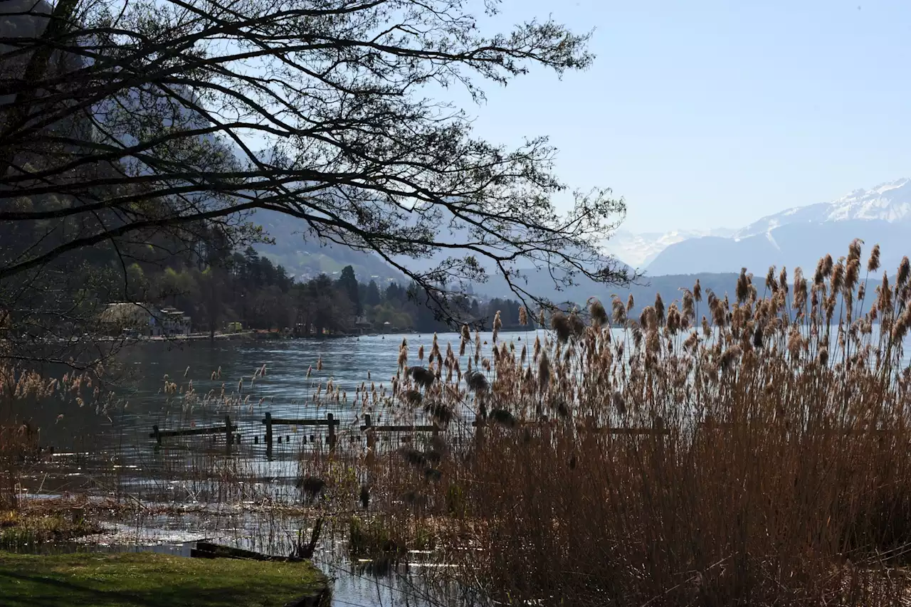 EN DIRECT - Annecy : 4 enfants en bas âge blessés dans une attaque au couteau