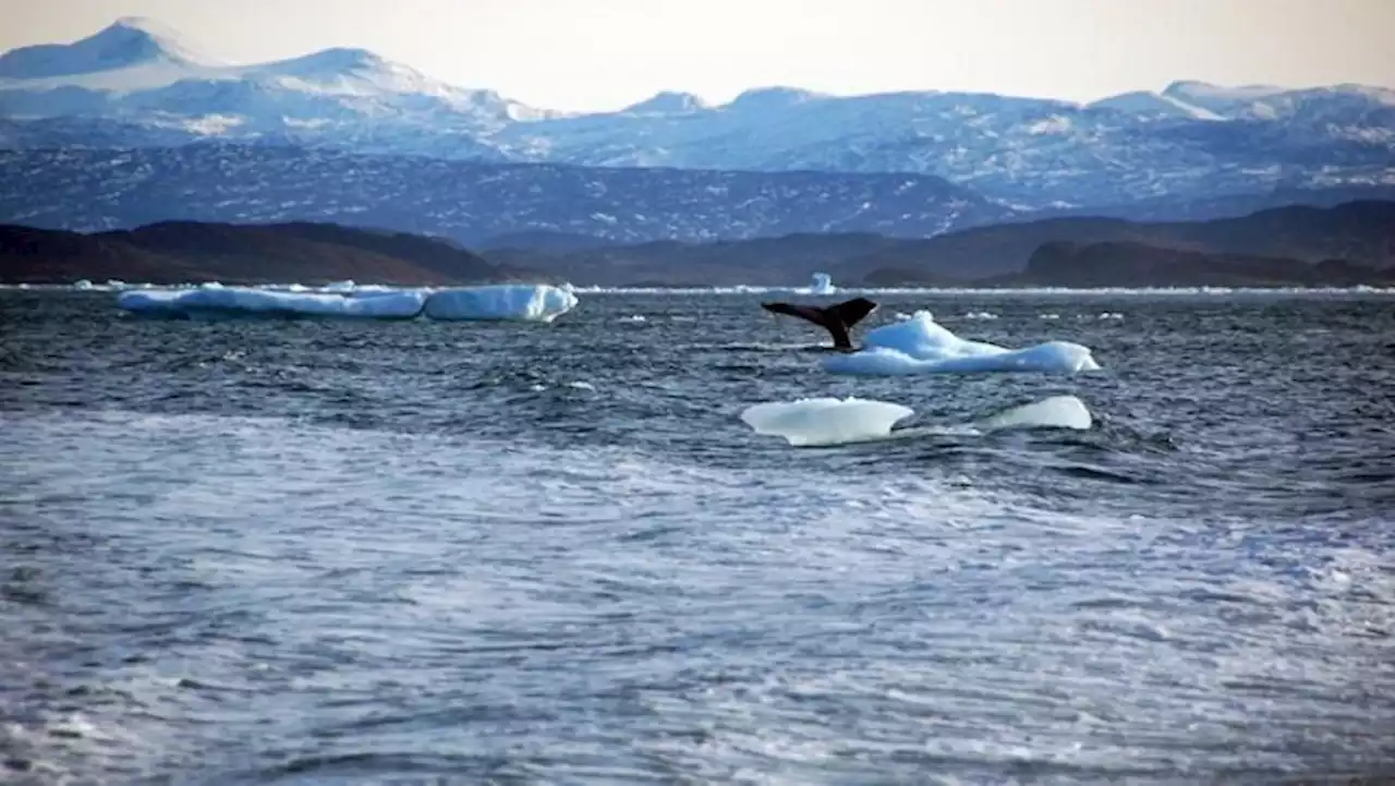 KZN communities educated about threats facing oceans - SABC News