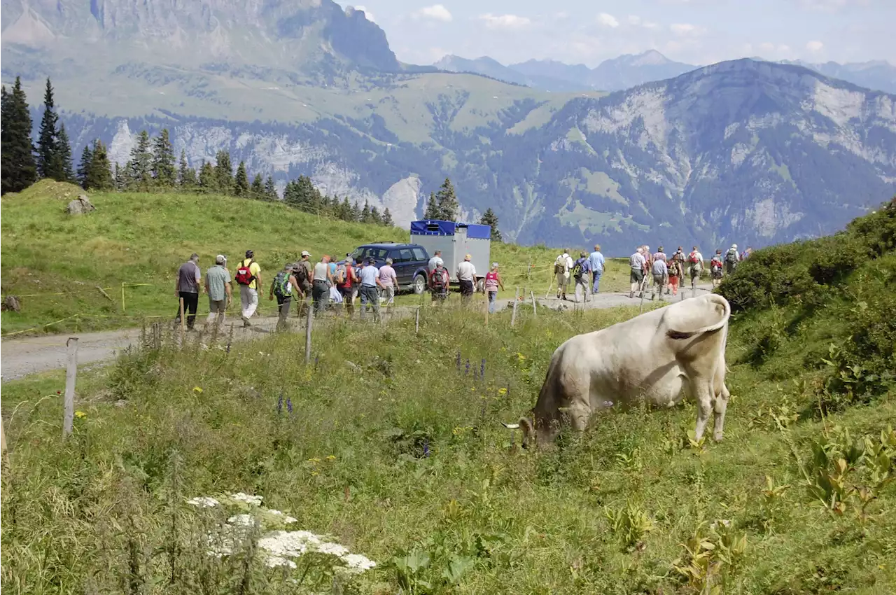 Wandern in Weiden: Checklisten ausfüllen - Schweizer Bauer