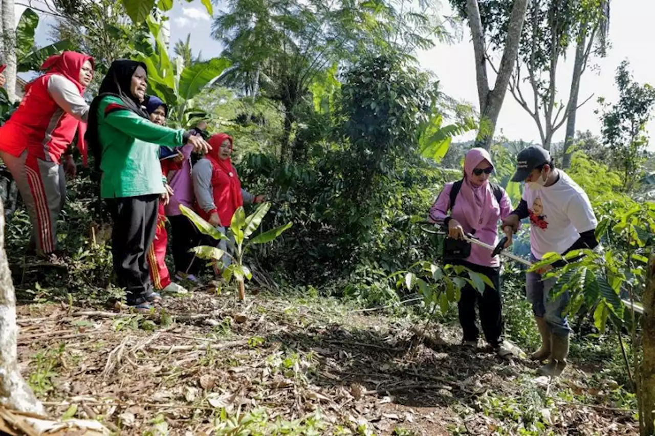 OMG Lampung Salurkan Bantuan ke Kelompok Wanita Tani Tanggamus