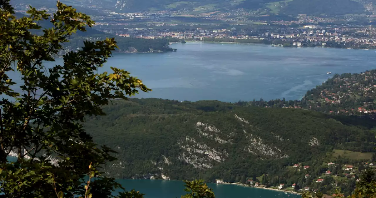 Francia: Sujeto hiere con un cuchillo a varias personas, incluidos niños; lo detienen