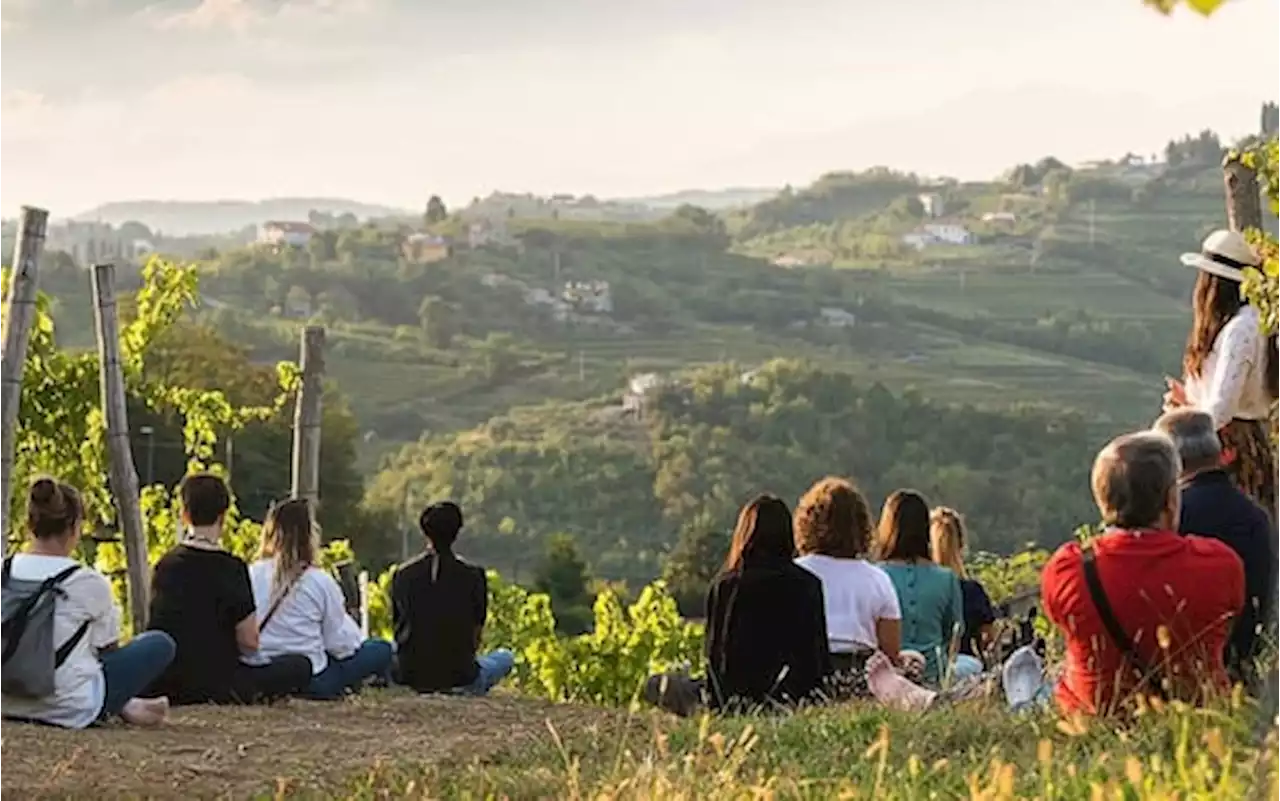 Nature Bathing tra i boschi e i vigneti del Monferrato