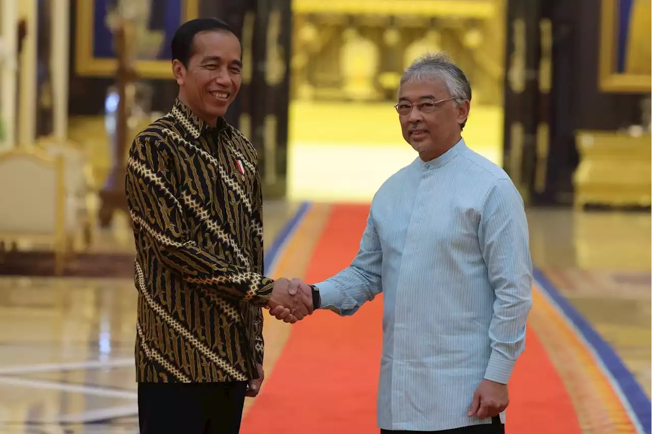 King grants audience to Jokowi