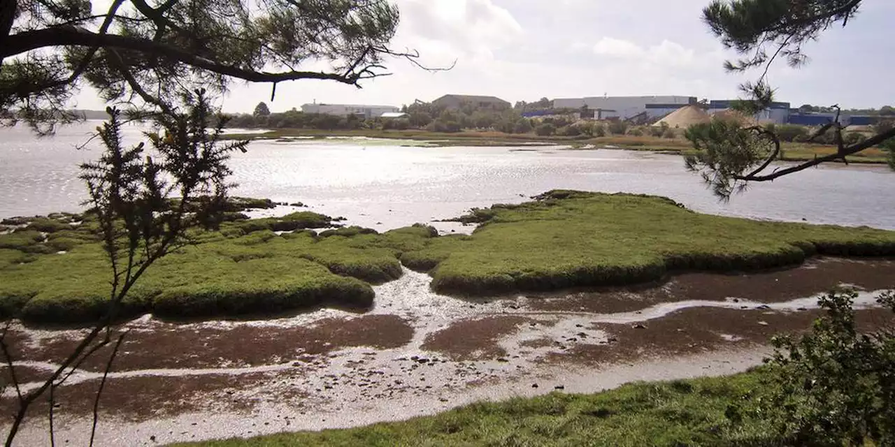 Meurtre d’Iris en Bretagne : un homme placé en garde à vue