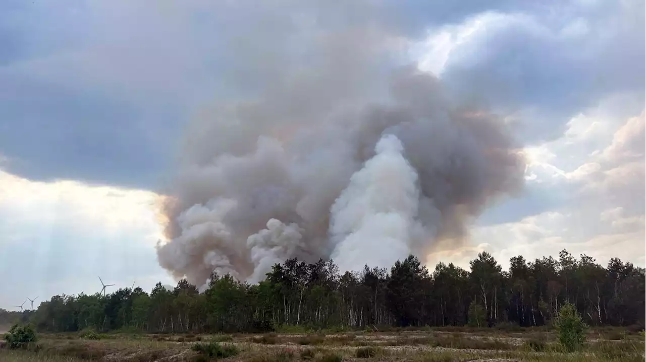 Kein Ende absehbar: Waldbrand bei Jüterbog breitet sich wieder aus