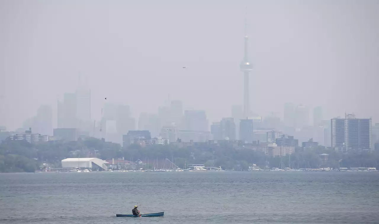 Toronto Zoo hours, city services altered due to wildfire smoke